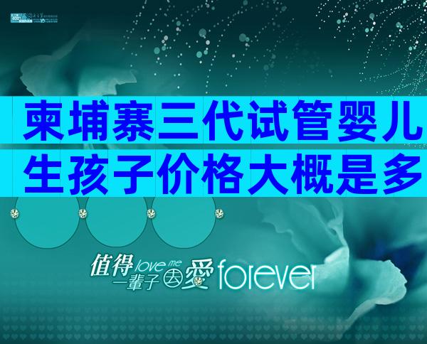 柬埔寨三代试管婴儿生孩子价格大概是多少钱？
