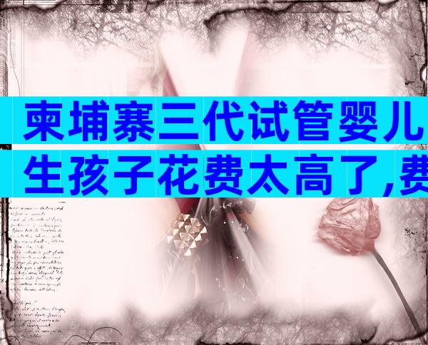 柬埔寨三代试管婴儿生孩子花费太高了,费用明细一览!
