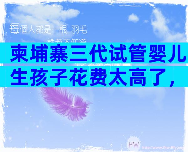 柬埔寨三代试管婴儿生孩子花费太高了，费用明细一览！