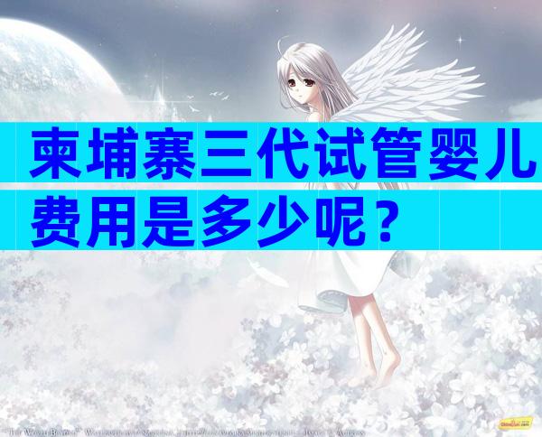 柬埔寨三代试管婴儿费用是多少呢？