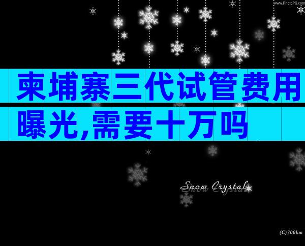 柬埔寨三代试管费用曝光,需要十万吗