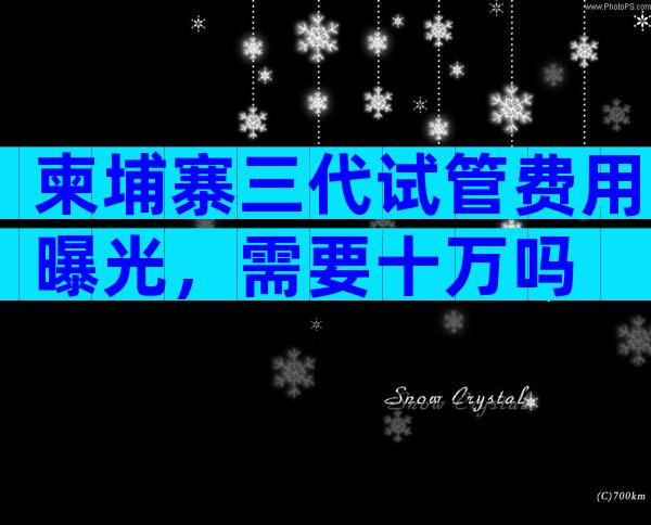 柬埔寨三代试管费用曝光，需要十万吗