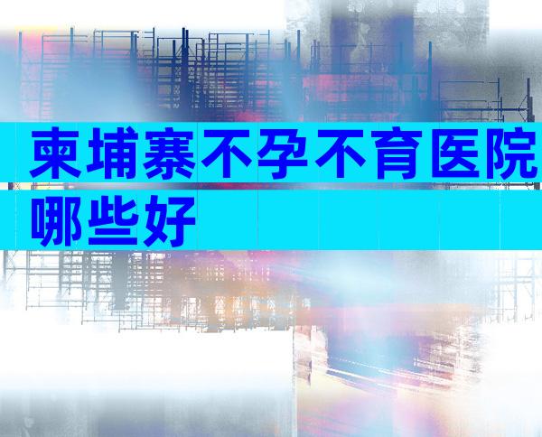 柬埔寨不孕不育医院哪些好