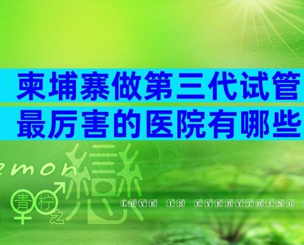 柬埔寨做第三代试管最厉害的医院有哪些？成功率都不错