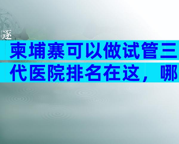 柬埔寨可以做试管三代医院排名在这，哪家医院比较不错