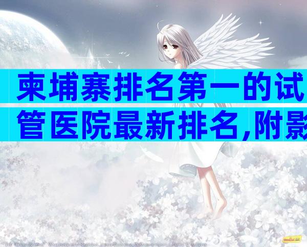 柬埔寨排名第一的试管医院最新排名,附影响成功率因素