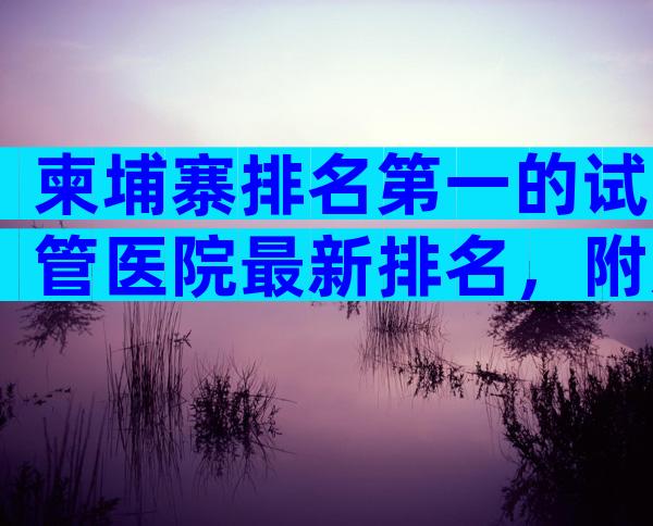 柬埔寨排名第一的试管医院最新排名，附影响成功率因素