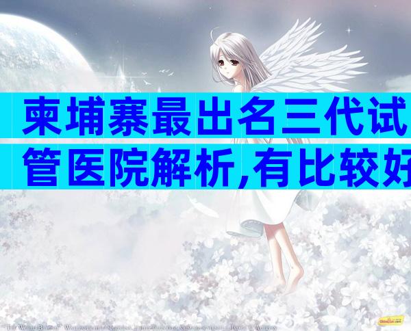 柬埔寨最出名三代试管医院解析,有比较好的医院吗