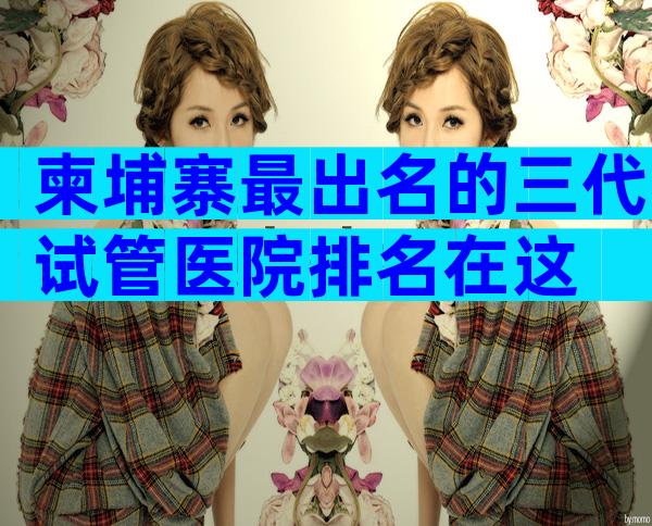 柬埔寨最出名的三代试管医院排名在这