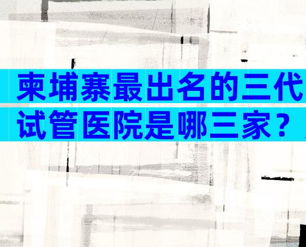 柬埔寨最出名的三代试管医院是哪三家？成功率有多少？