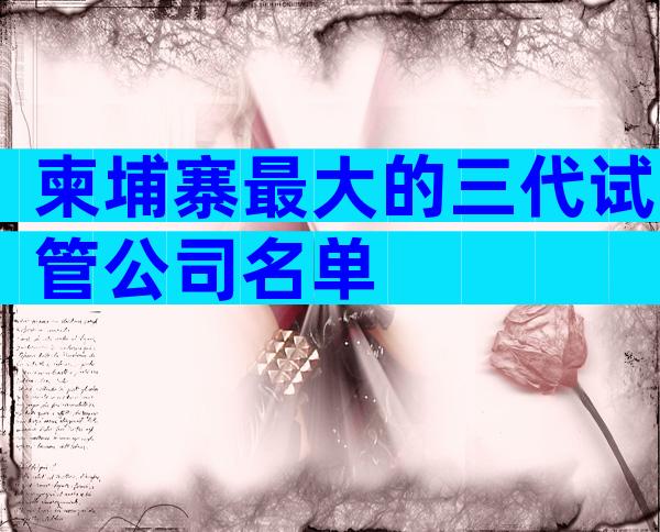 柬埔寨最大的三代试管公司名单