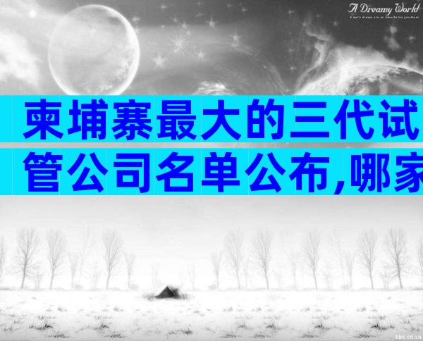 柬埔寨最大的三代试管公司名单公布,哪家成功率比较高