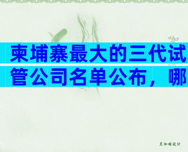 柬埔寨最大的三代试管公司名单公布，哪家成功率比较高