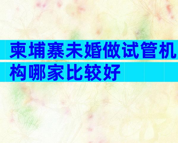柬埔寨未婚做试管机构哪家比较好