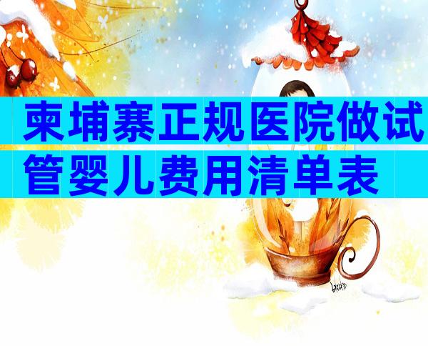 柬埔寨正规医院做试管婴儿费用清单表