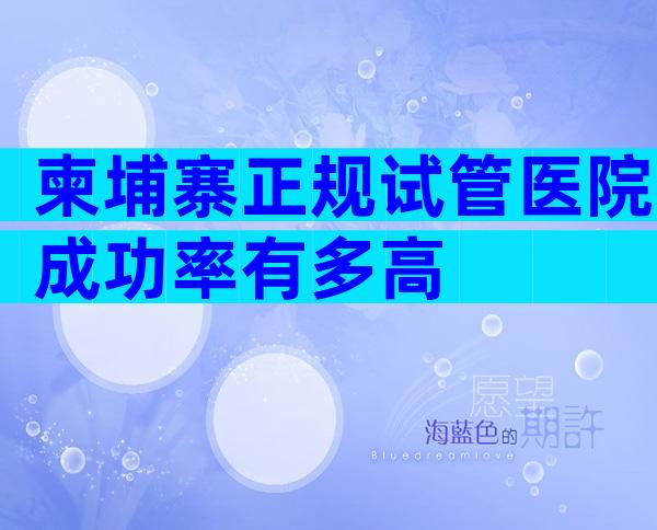 柬埔寨正规试管医院成功率有多高