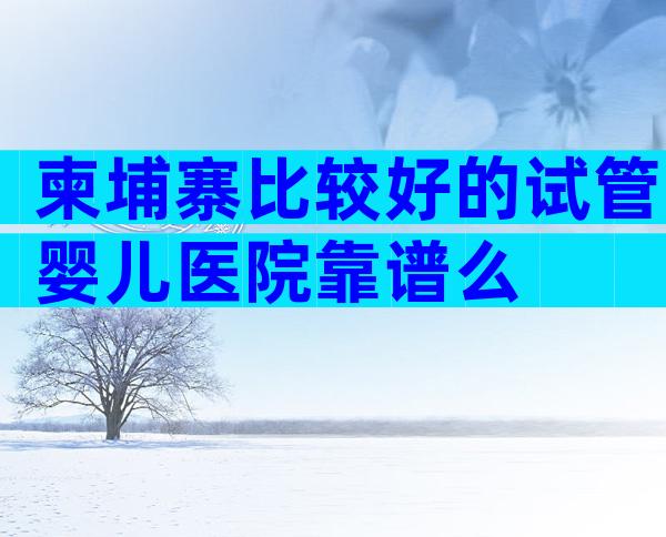 柬埔寨比较好的试管婴儿医院靠谱么