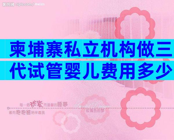 柬埔寨私立机构做三代试管婴儿费用多少啊？附试管费用详情