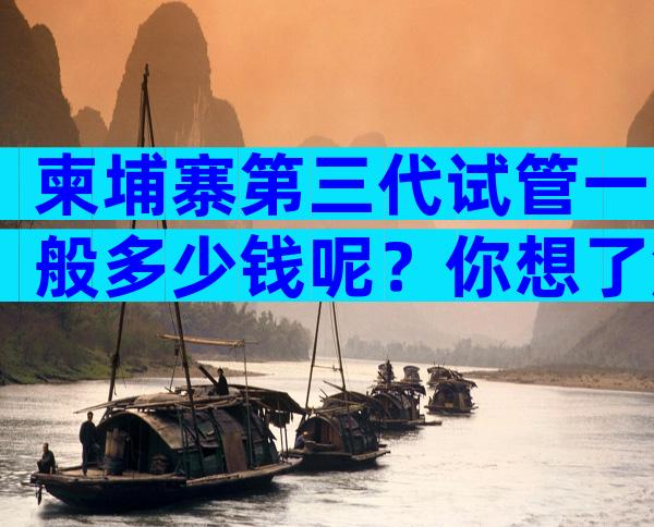柬埔寨第三代试管一般多少钱呢？你想了解的花销明细都在这里