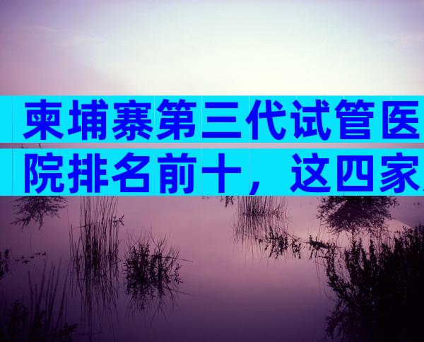柬埔寨第三代试管医院排名前十，这四家成功率比较高