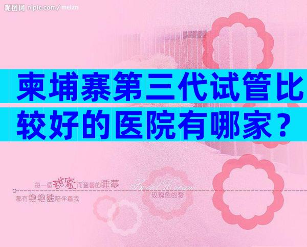 柬埔寨第三代试管比较好的医院有哪家？一次能成吗？