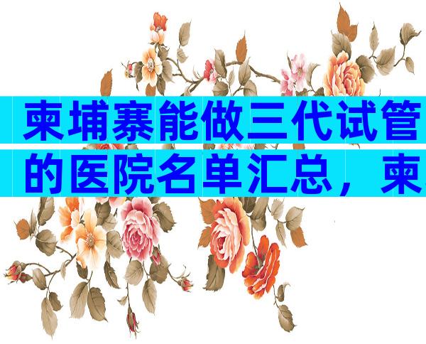 柬埔寨能做三代试管的医院名单汇总，柬埔寨三代试管机构盘点