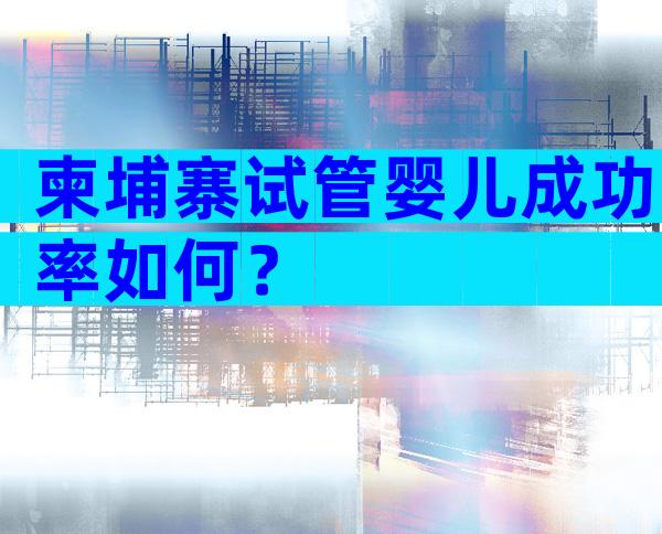 柬埔寨试管婴儿成功率如何？