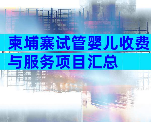 柬埔寨试管婴儿收费与服务项目汇总