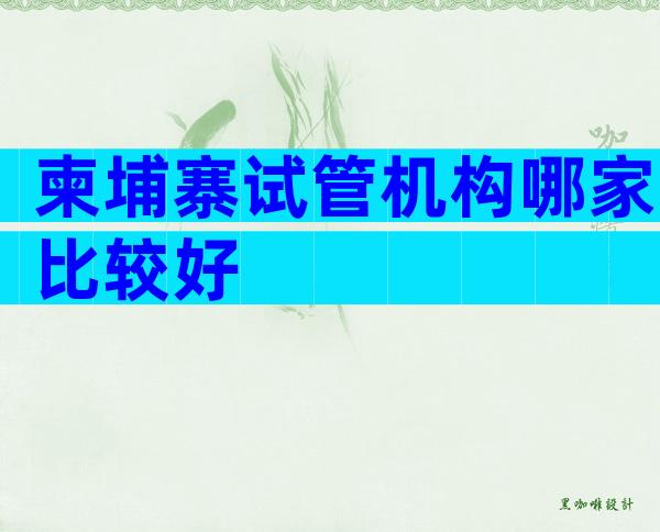 柬埔寨试管机构哪家比较好