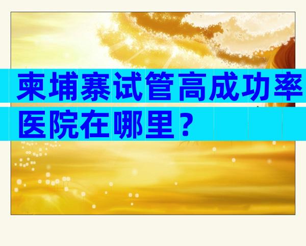 柬埔寨试管高成功率医院在哪里？