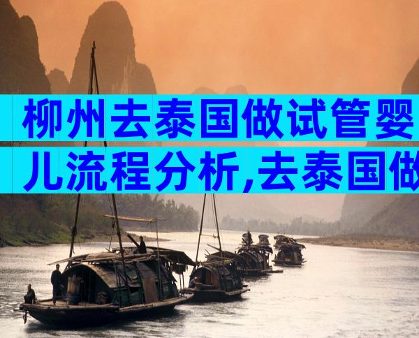 柳州去泰国做试管婴儿流程分析,去泰国做试管需要什么手续