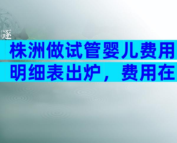株洲做试管婴儿费用明细表出炉，费用在十万左右！