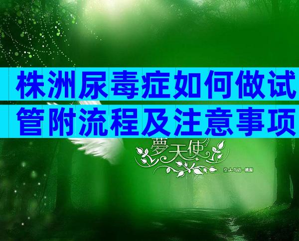 株洲尿毒症如何做试管附流程及注意事项