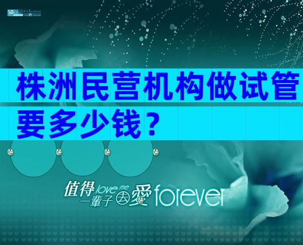 株洲民营机构做试管要多少钱？