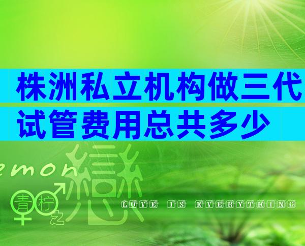 株洲私立机构做三代试管费用总共多少