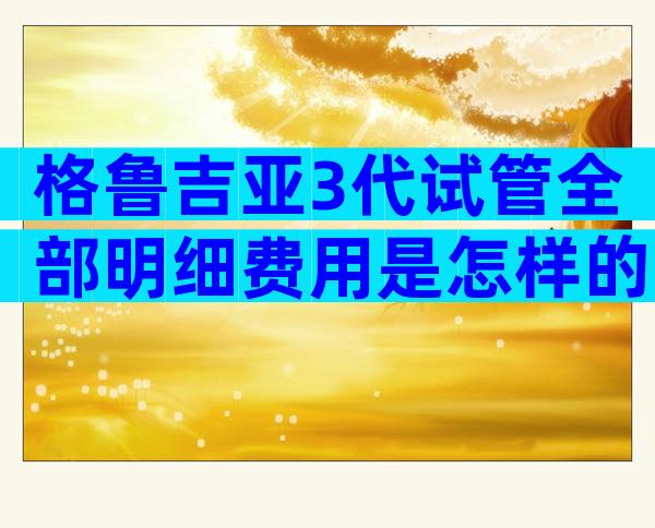 格鲁吉亚3代试管全部明细费用是怎样的