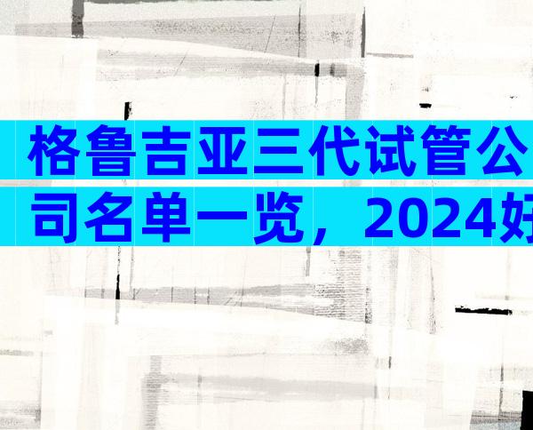 格鲁吉亚三代试管公司名单一览，2024好评最多的医院参考