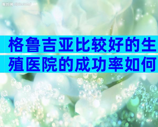 格鲁吉亚比较好的生殖医院的成功率如何？