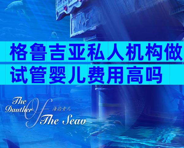 格鲁吉亚私人机构做试管婴儿费用高吗