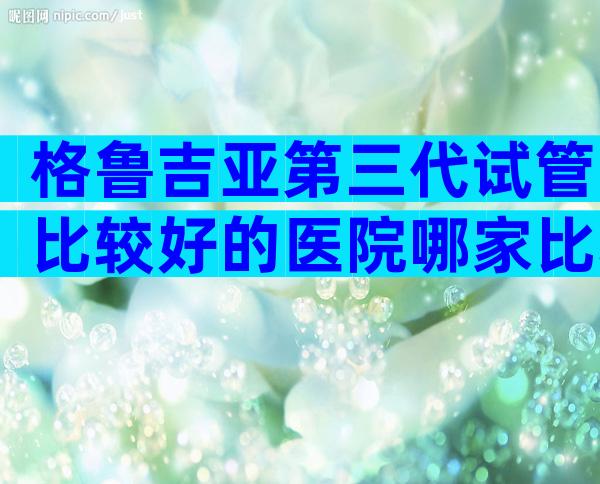 格鲁吉亚第三代试管比较好的医院哪家比较好？看这篇就行