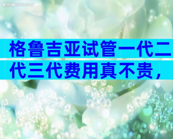 格鲁吉亚试管一代二代三代费用真不贵，具体哪一项目最贵？