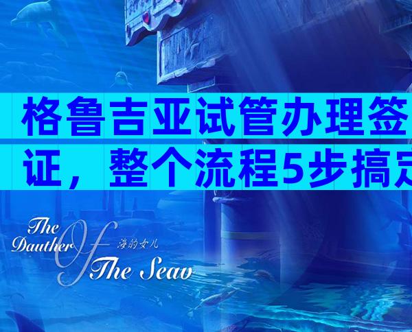 格鲁吉亚试管办理签证，整个流程5步搞定