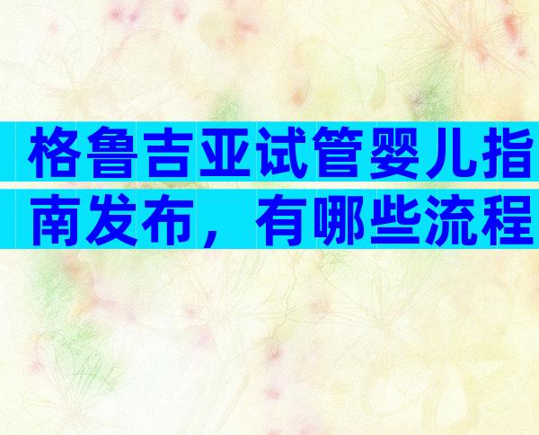 格鲁吉亚试管婴儿指南发布，有哪些流程？