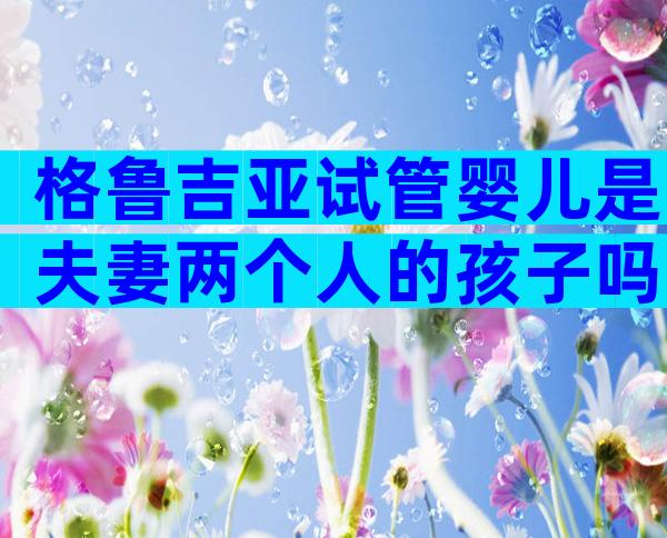 格鲁吉亚试管婴儿是夫妻两个人的孩子吗