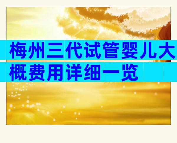 梅州三代试管婴儿大概费用详细一览