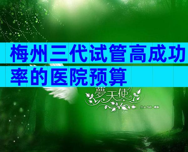 梅州三代试管高成功率的医院预算