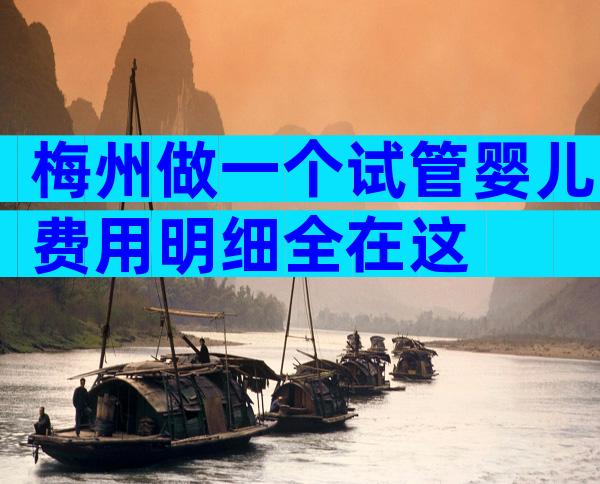 梅州做一个试管婴儿费用明细全在这