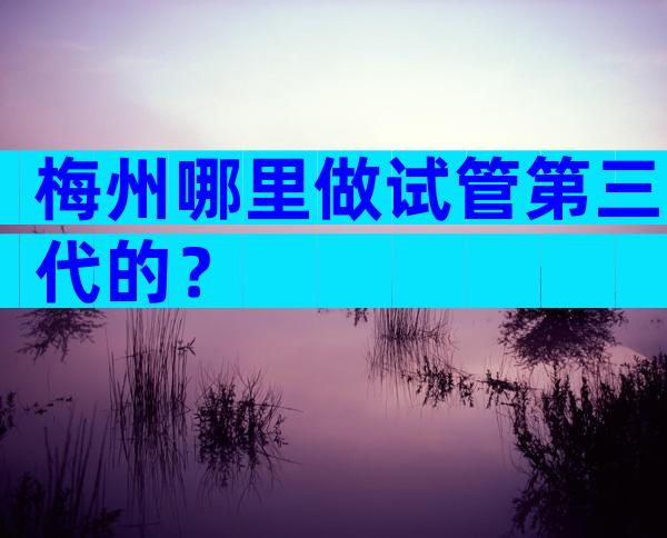 梅州哪里做试管第三代的？