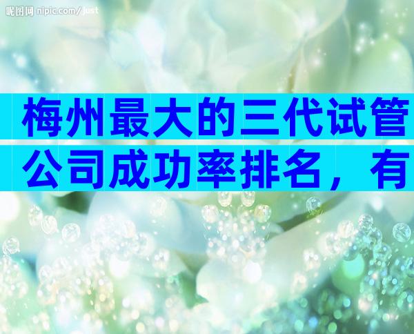 梅州最大的三代试管公司成功率排名，有哪些优缺点？