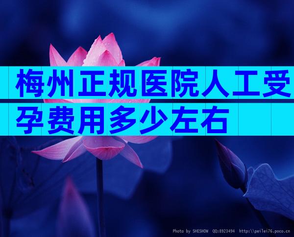 梅州正规医院人工受孕费用多少左右